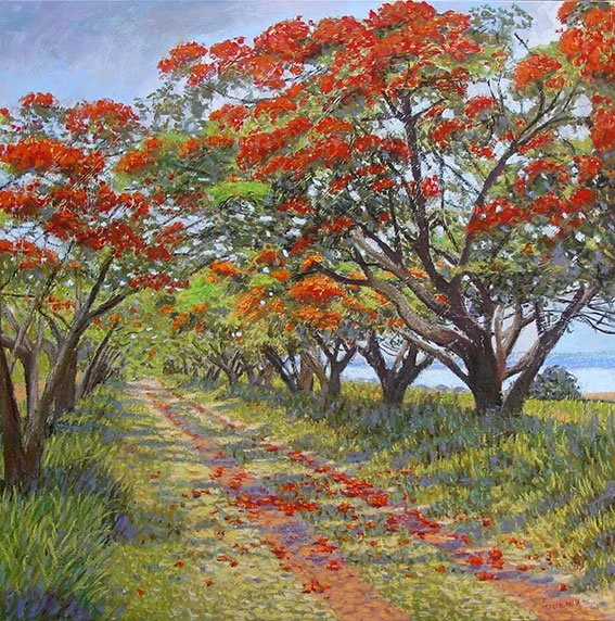 Caminho com flamboyants - Fazenda 3 Marias, 120 x 120