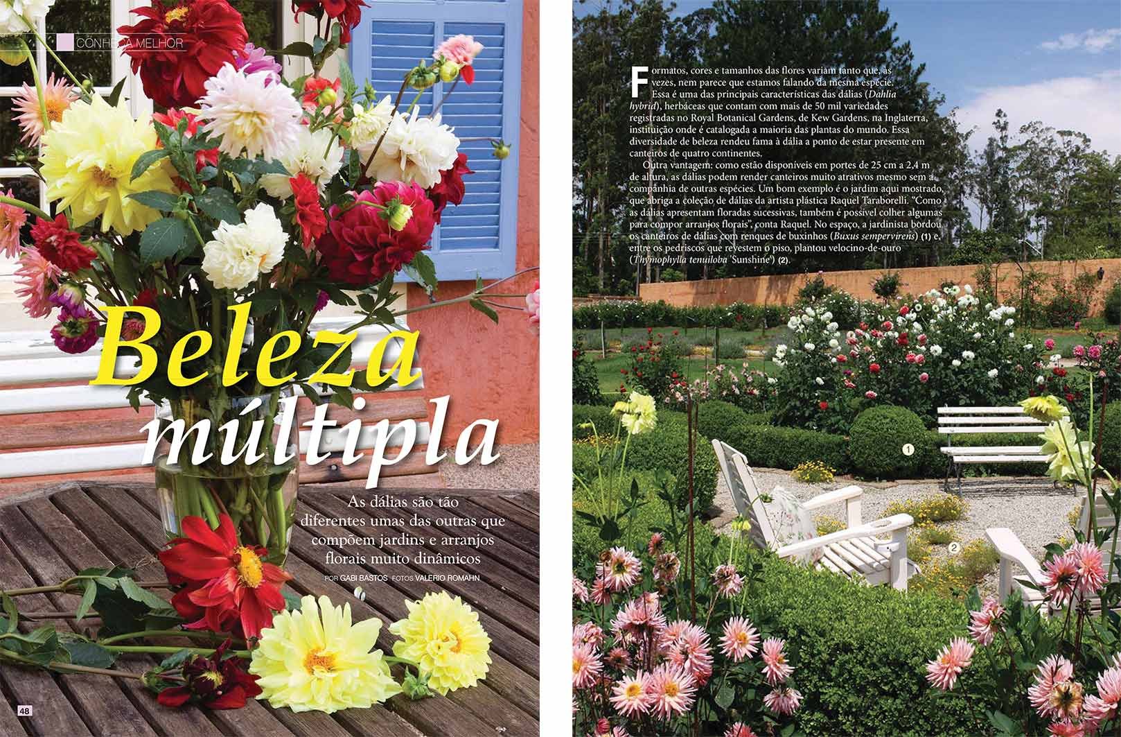 Beleza múltipla - as dálias no jardim de Raquel Taraborelli