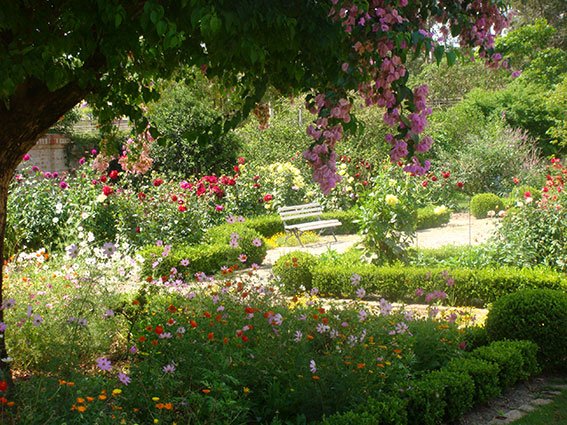 Jardim com árvores, arbustos e flores coloridas, com um banco de parque ao centro.