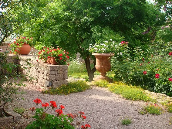 Jardim com vasos de flores, árvore e caminho de pedra.