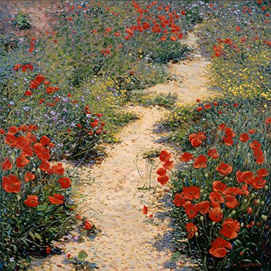 Caminho de papoulas, Espanha, 100 x 100