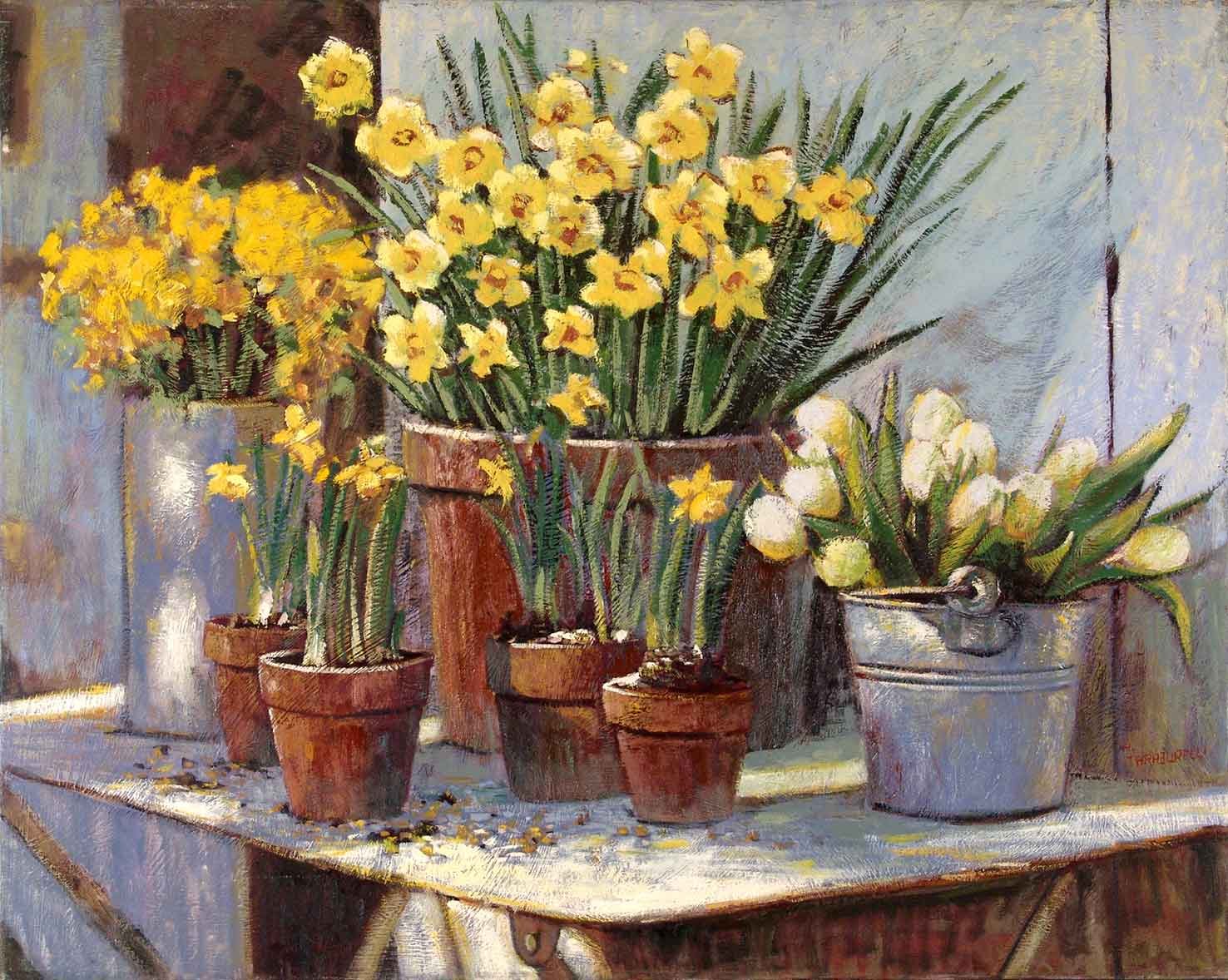 quadro com várias flores amarelas em vasos de cerâmica e plástico sobre uma mesa