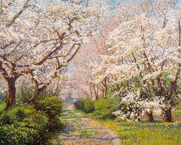 Cerejeiras, Shikoku, 160 x 200