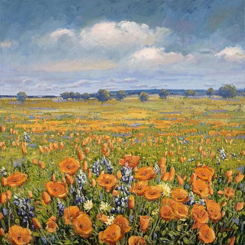 Papoulas no campo, 100 x 100