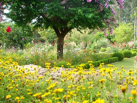 Jardim com árvores, flores coloridas e grama verde.