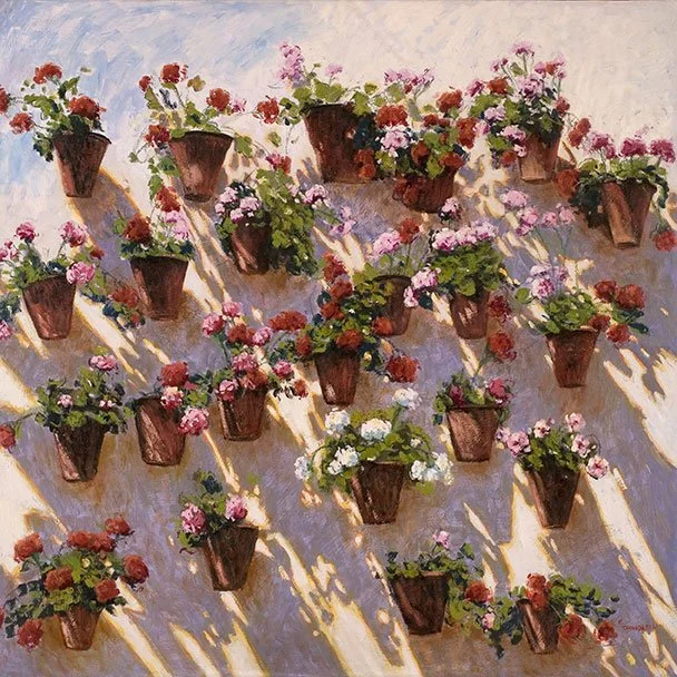Vasos de gerânios ensolarados, 150 x 150