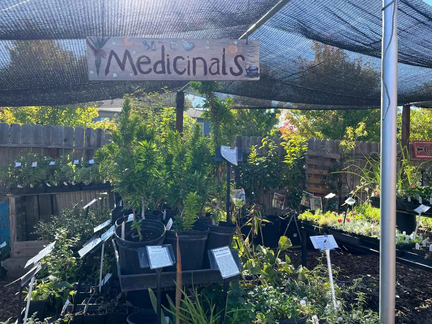 harvests-and-habitats-medicinals-garden-greenhouse-outdoor.jpg