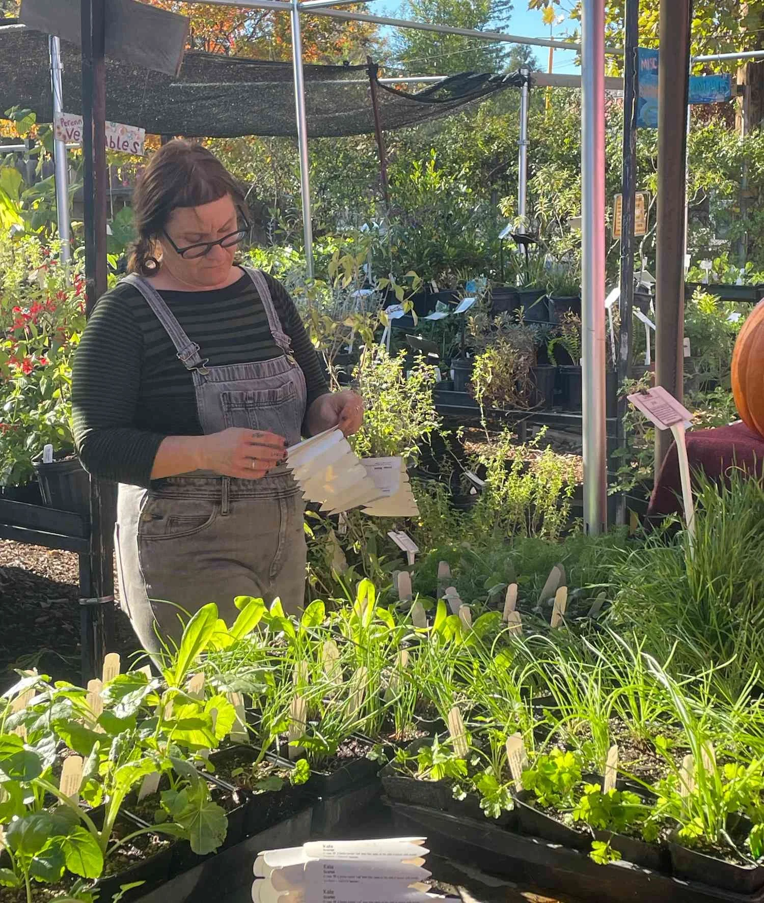 A woman with glasses and dark brown hair, wearing a striped shirt and overalls, looking down while holding a plant label or packet in a garden center surrounded by various potted plants and greenery under a shaded canopy.