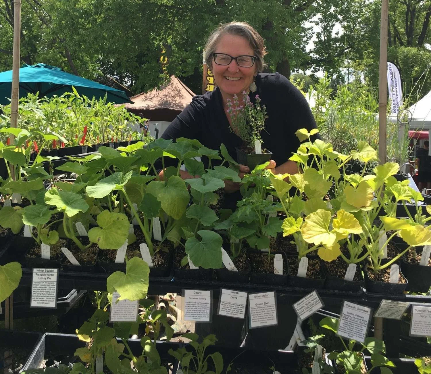 Harvests & Habitats owner Sherri Scott smiling at a plant sale, holding a small potted plant, surrounded by trays of leafy green plants and informational signs outdoors on a sunny day.
