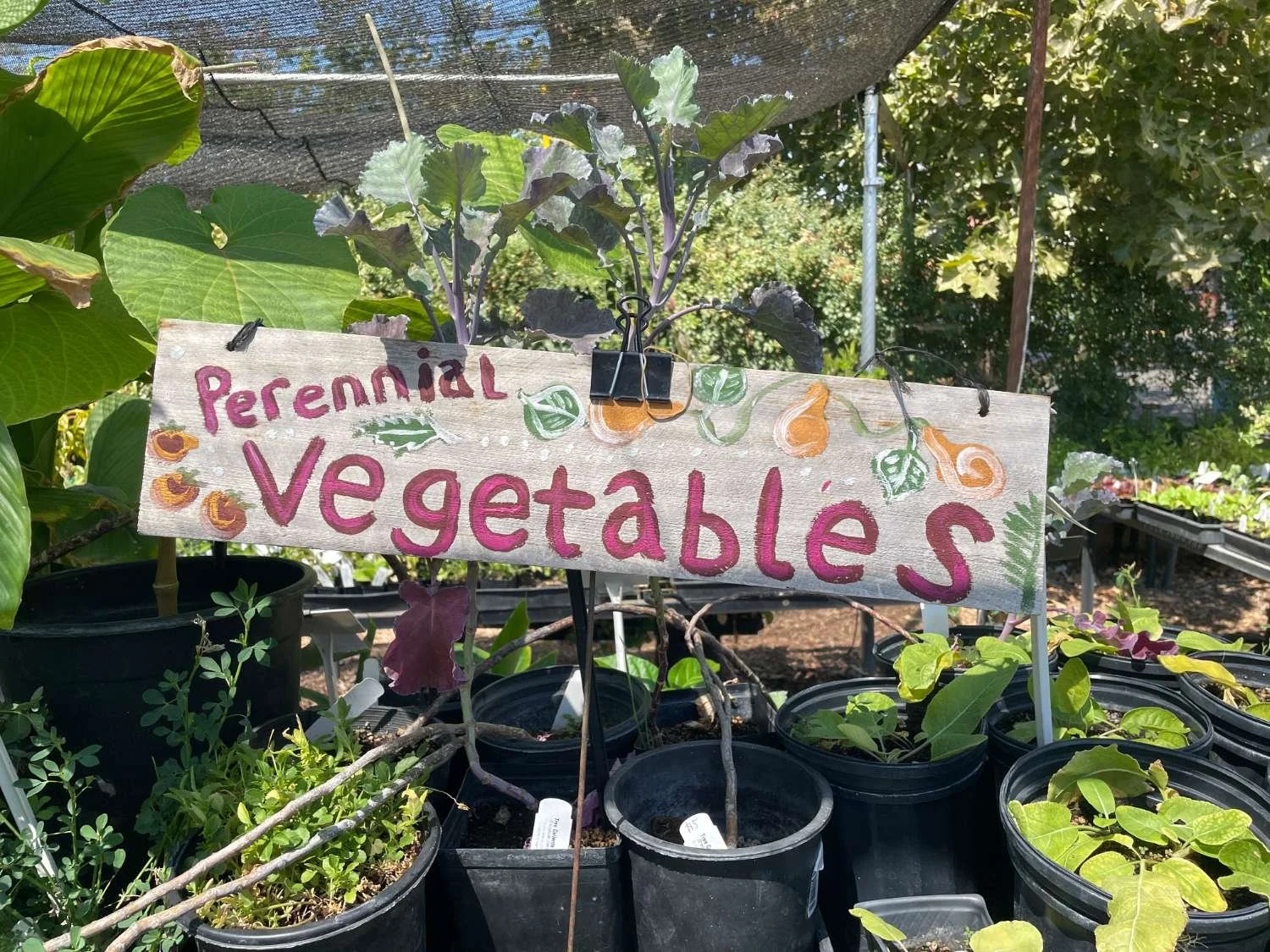 harvests-and-habitats-veggie-garden-sign-vegetables-table.JPG