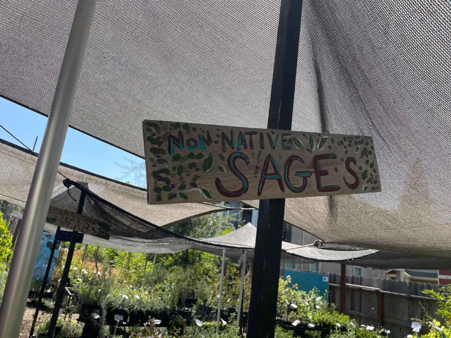 harvests-and-habitats-natural-sages-greenhouse.JPG