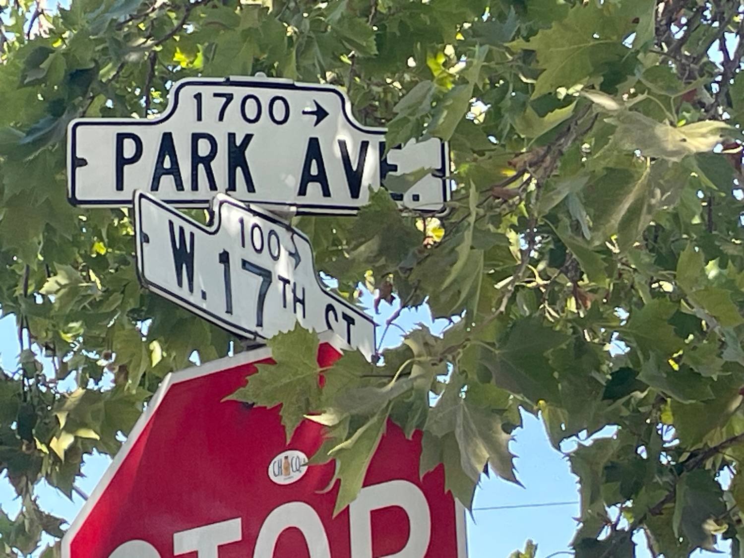 Street signs at an intersection with green leaves and trees around them. The signs indicate the corner of Park Avenue and West 17th Street.