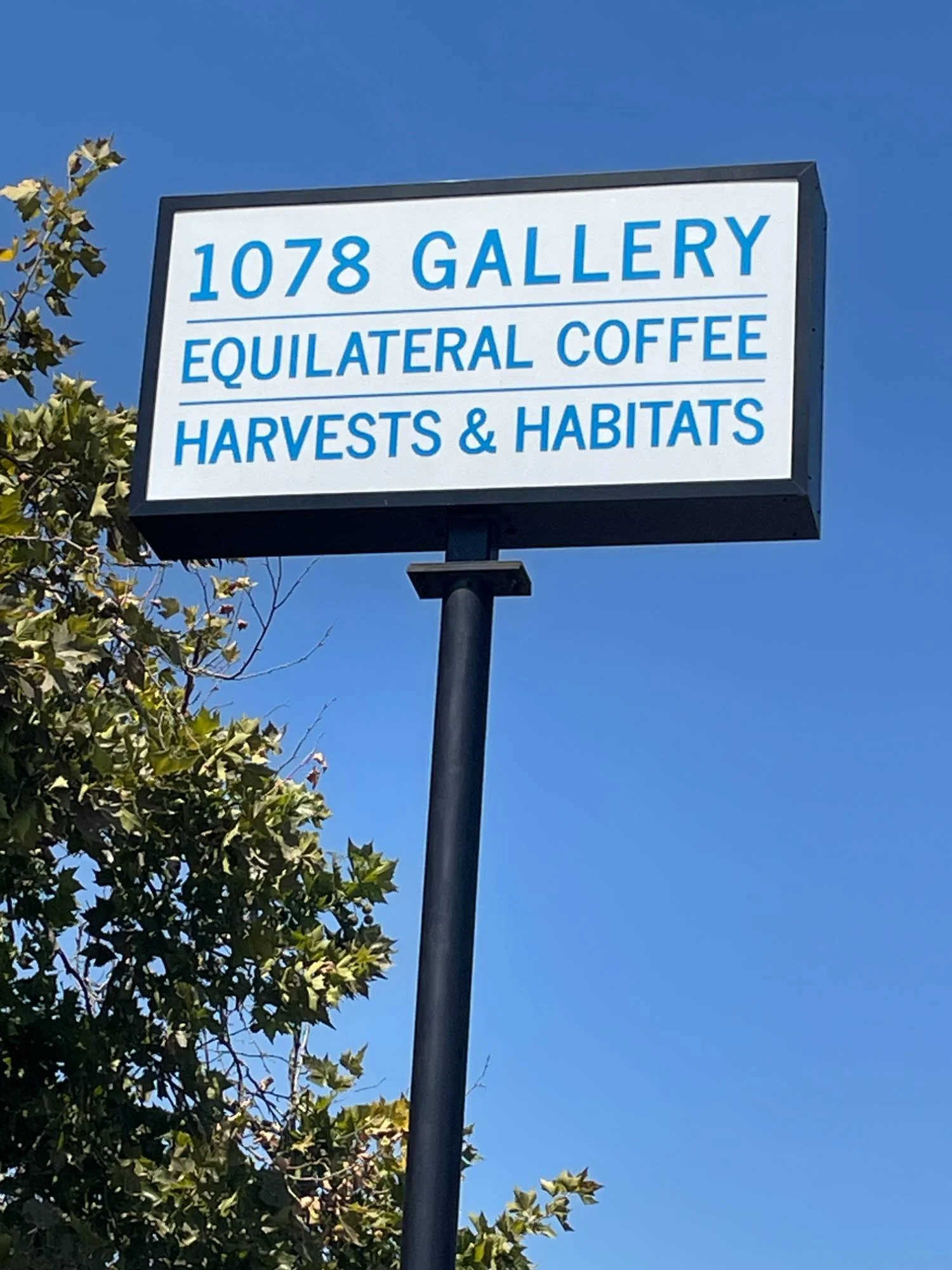 Signpost with blue text on a white background displaying '1078 GALLERY, EQUILATERAL COFFEE, HARVESTS & HABITATS', mounted on a black pole next to green leafy trees and a clear blue sky.