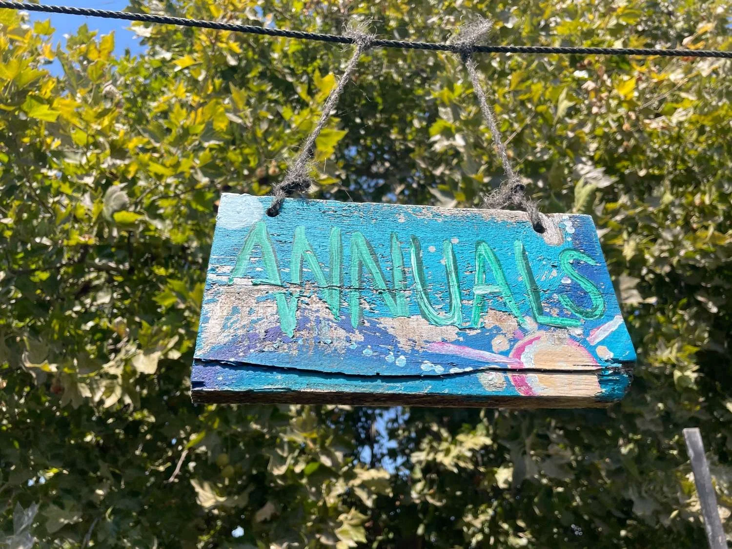 harvests-and-habitats-annuals-sign-tree.JPG