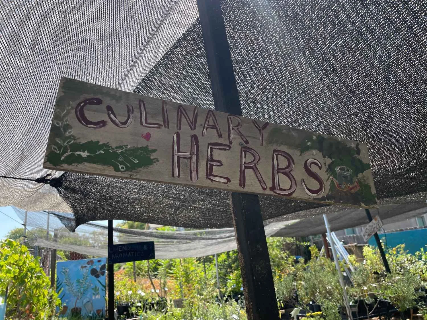 harvests-and-habitats-culinary-herbs-sign.JPG