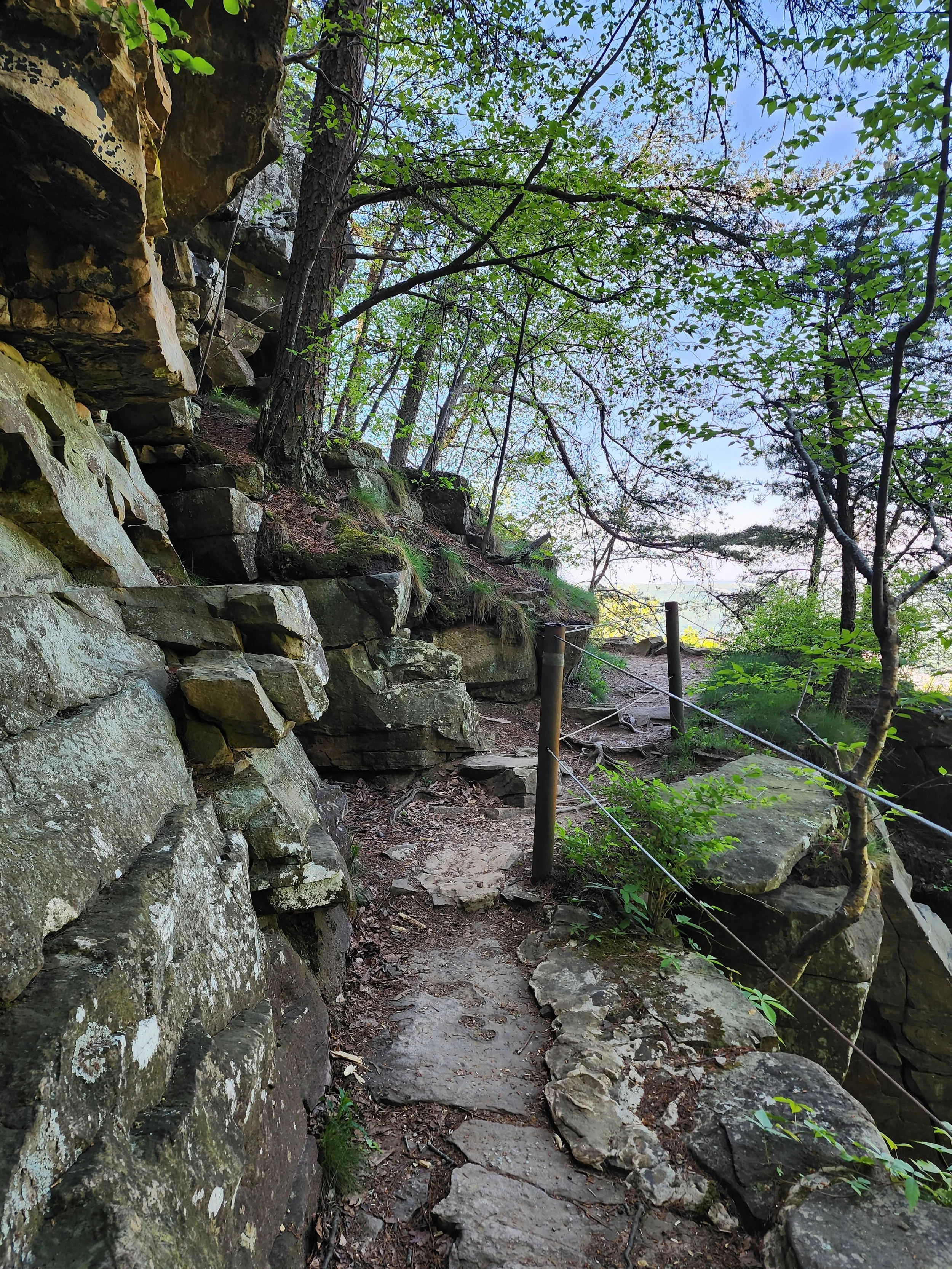 Website owner's view from a hike, depicting a forest scene.  Think about the path in life you are following, with its accompanying challenges and beautiful views.