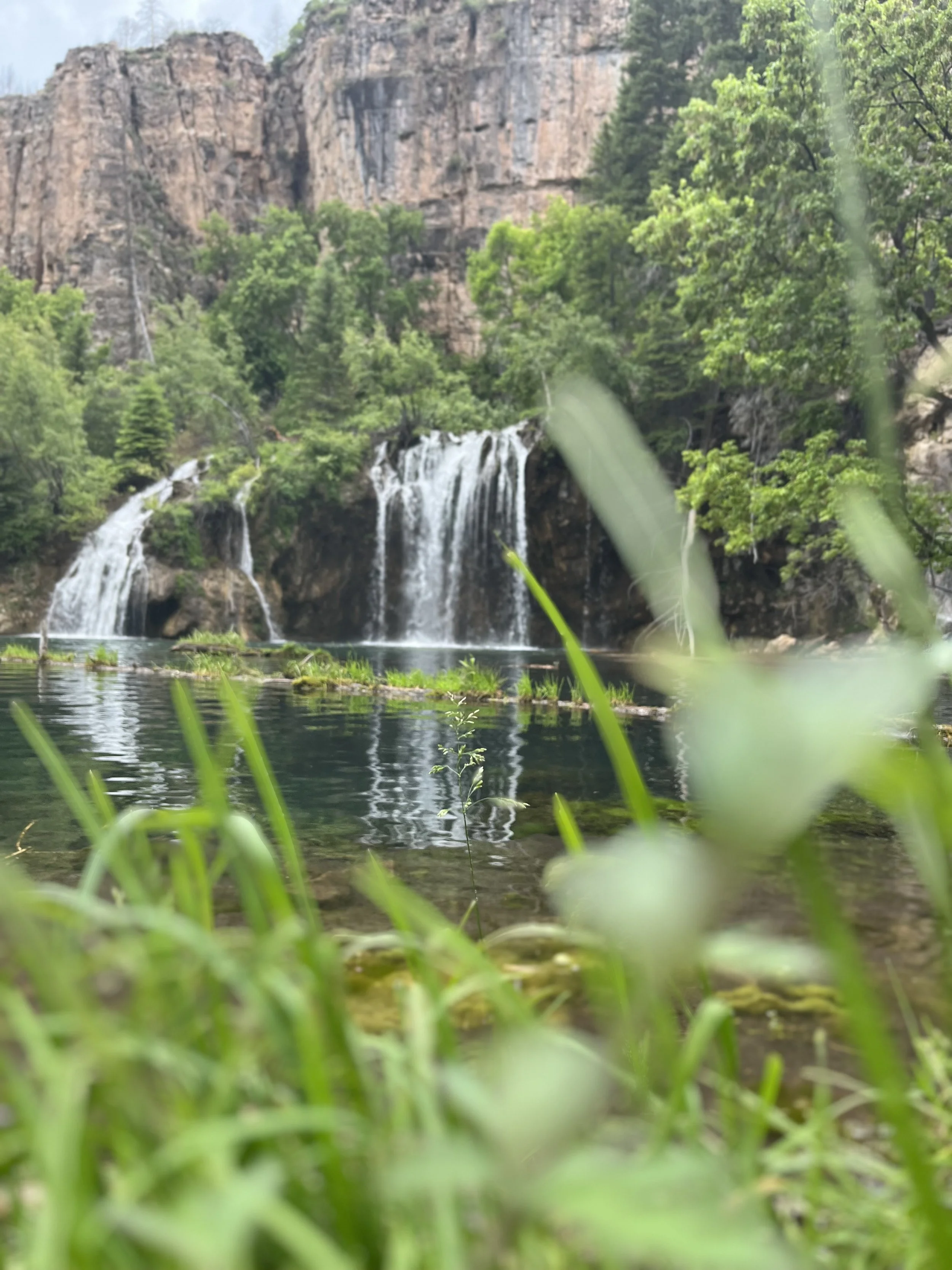 what is forest bathing? separating the science from the headlines