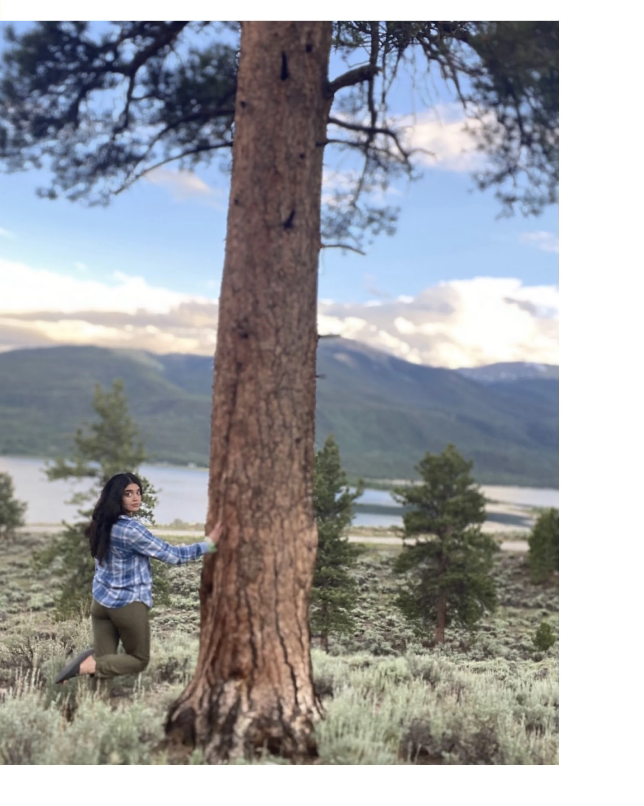 what happens to your brain when you spend a weekend in nature?