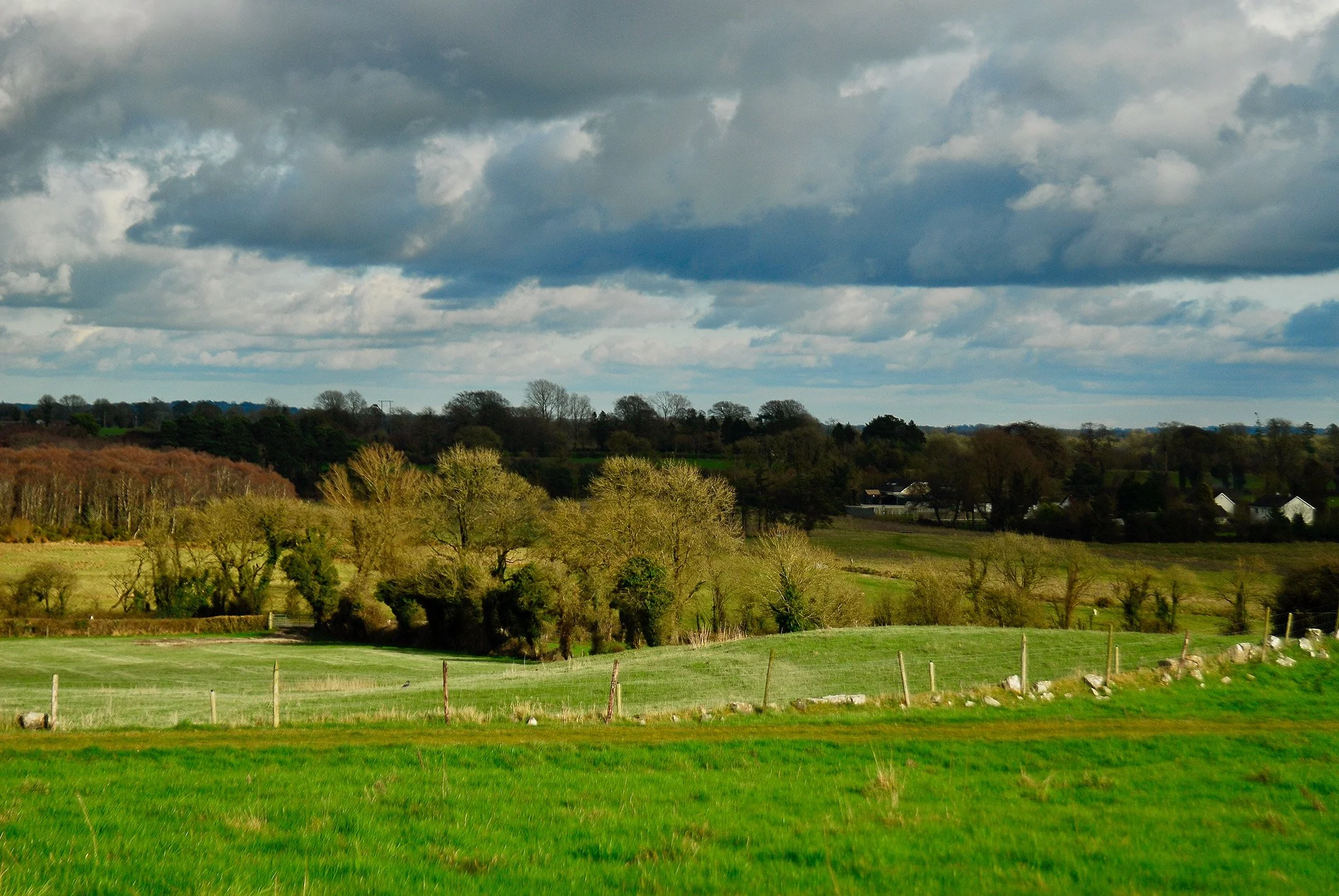(Photograph by) Burcu Dundar Venner ///   
The Church Cottage, Carbury Hill,
Carbury, Co. Kildare, W91 T9WT Ireland ///   

Phone: +353 (86) 443 27 35 ///   
burcudundarvenner@gmail.com
