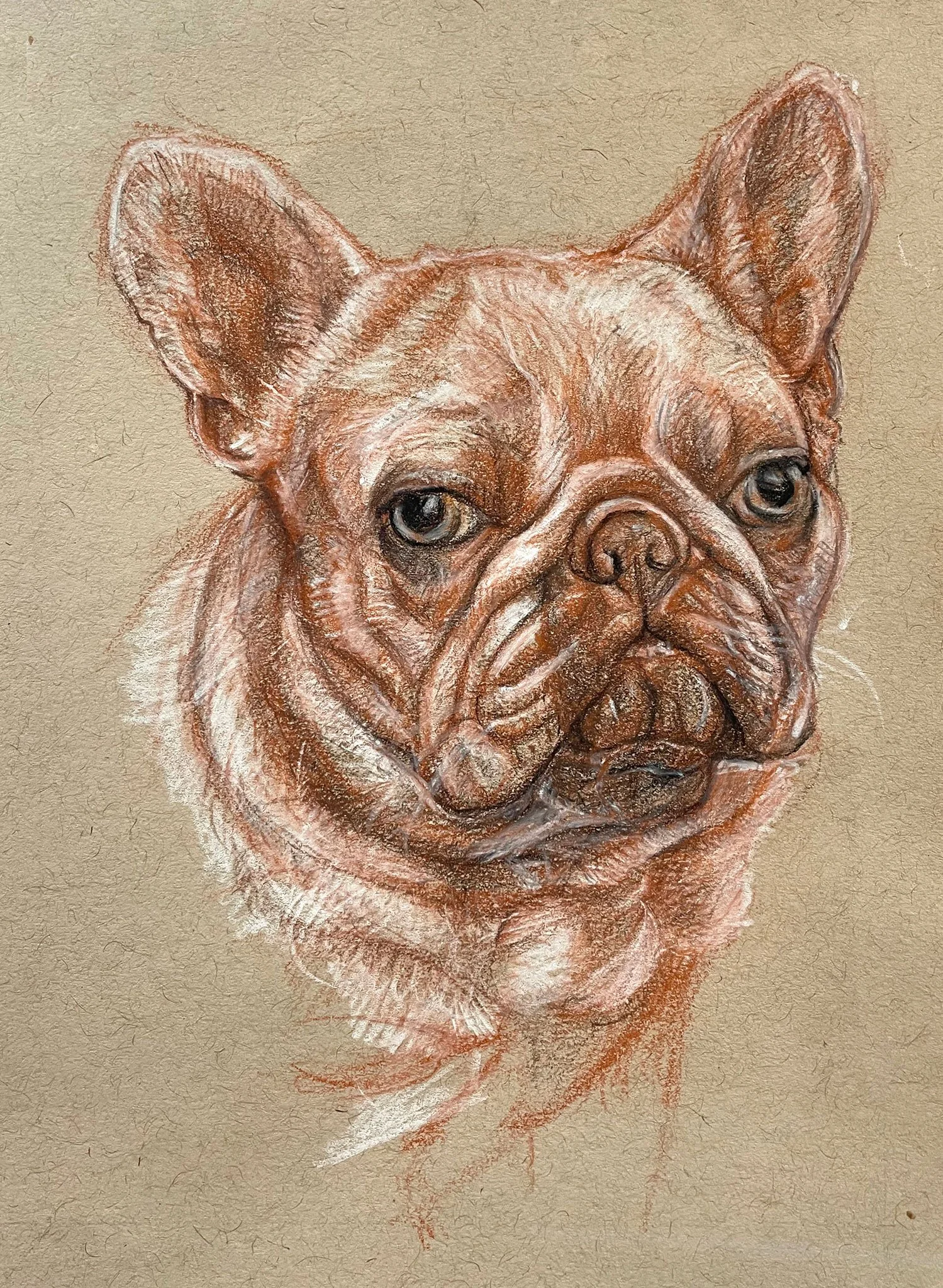 lulucloseup2048jpg.jpg