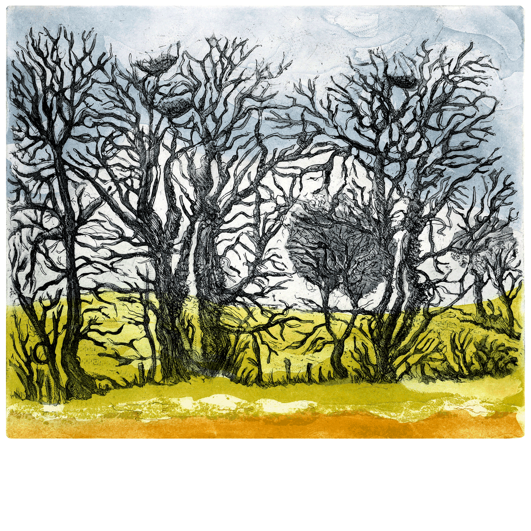 Carbury Hill