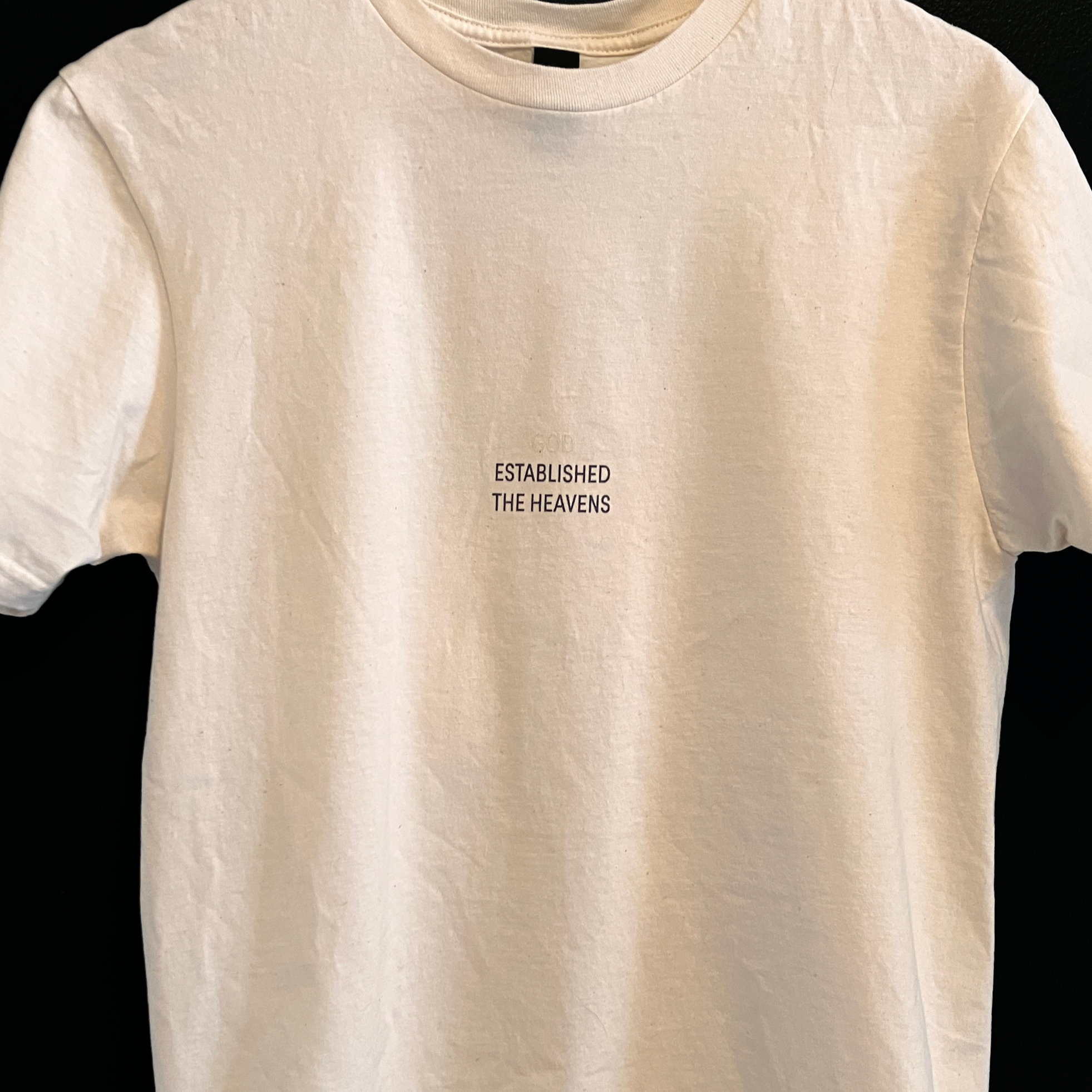 PRO 3_19 SHIRT3.png
