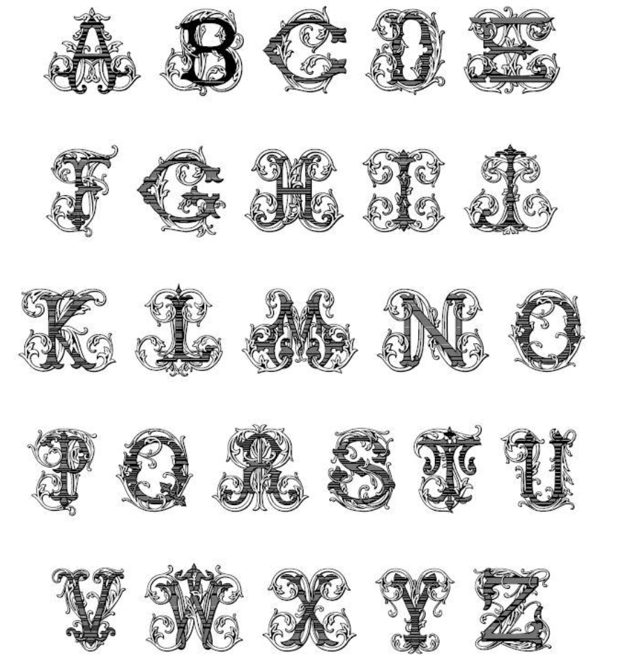 Image 4-24-26 at 9.29 PM (1).png