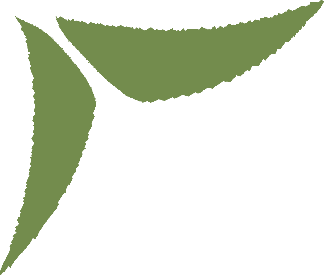 Decorative green leaf image corner border