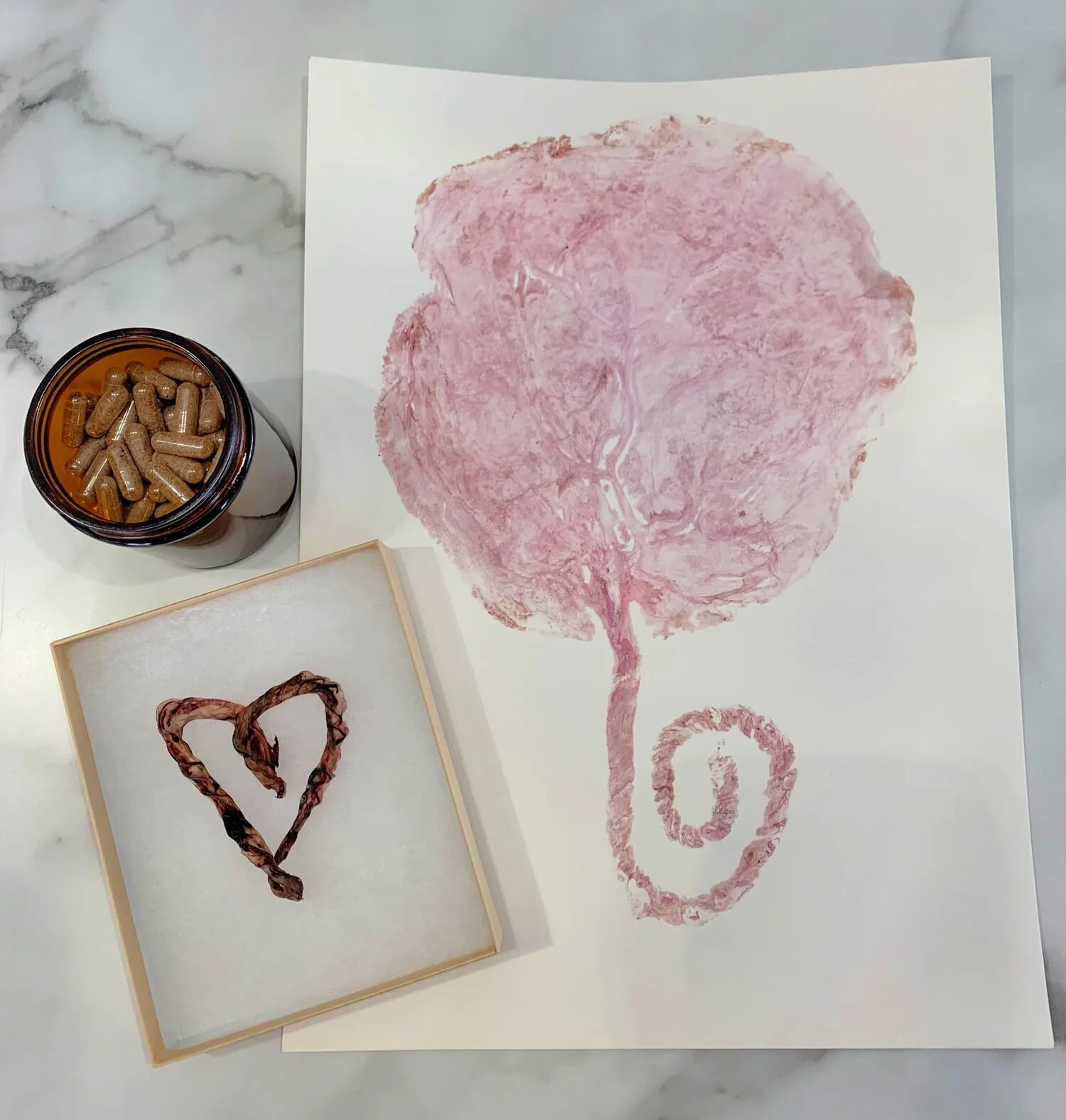Artistic placenta print with capsules and heart-shaped cord on marble surface.