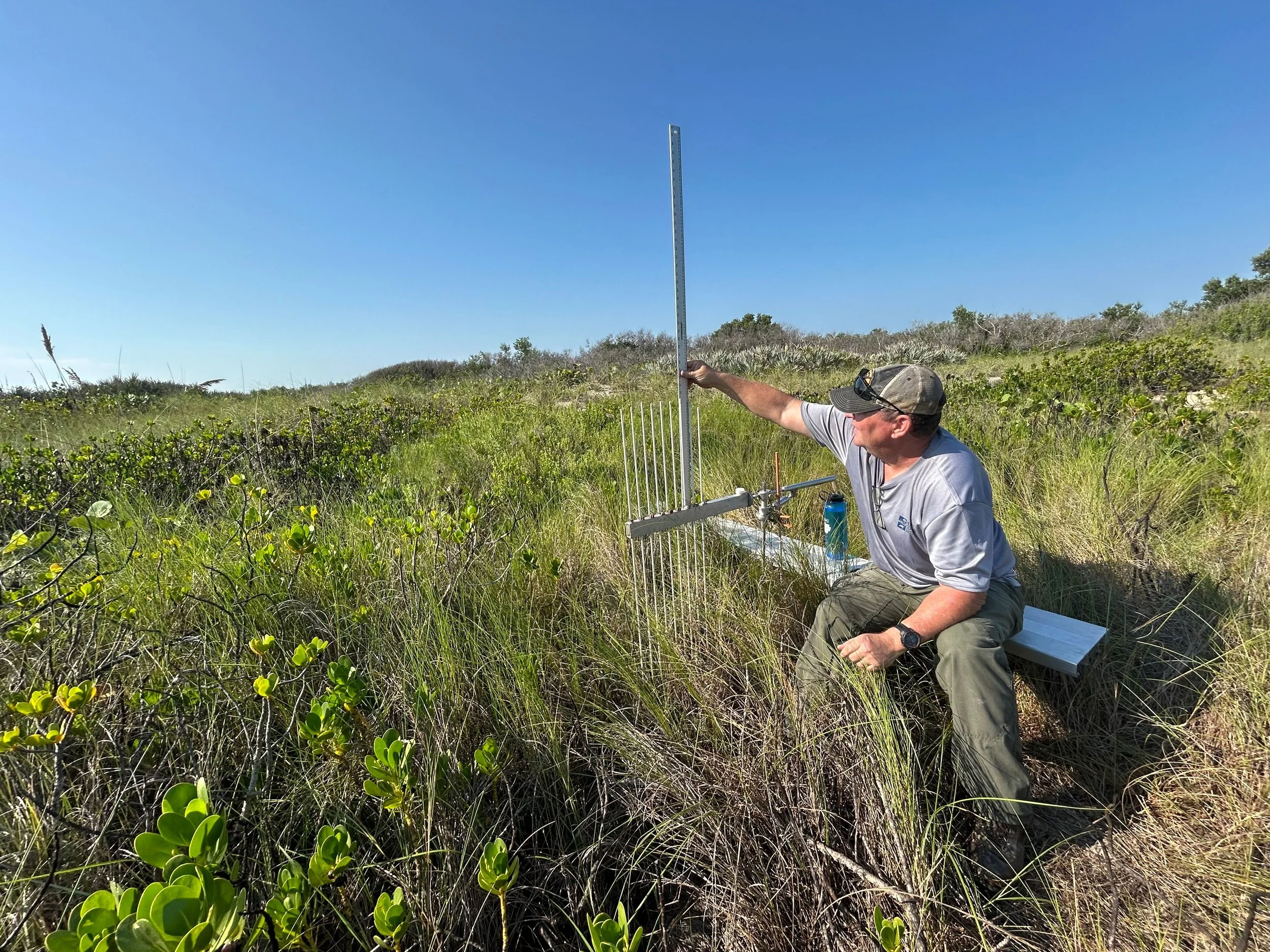 FCES measuring wetland surface elevation with a Surface Elevation Table at Canaveral National Seashore.