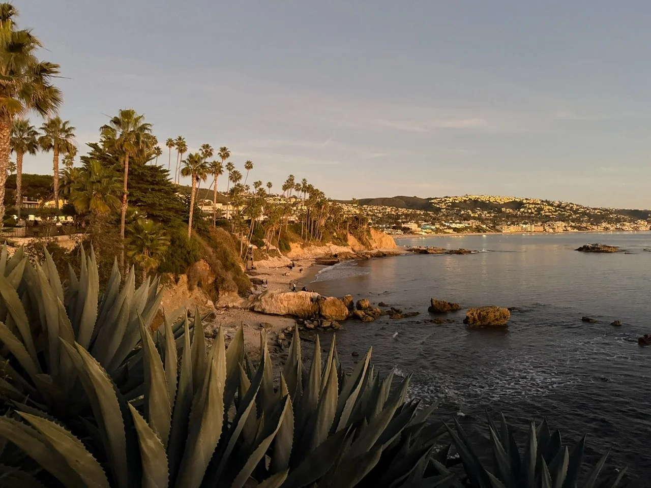 Sunset view of a coastal area with palm trees, rocky shoreline, and houses on a hillside.