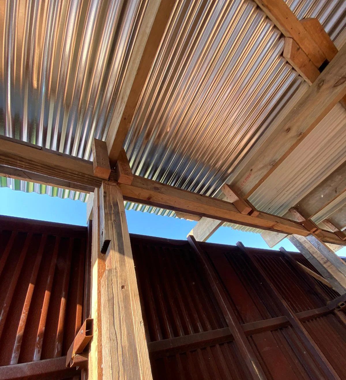 Close up of Penguin Play and Learn education center