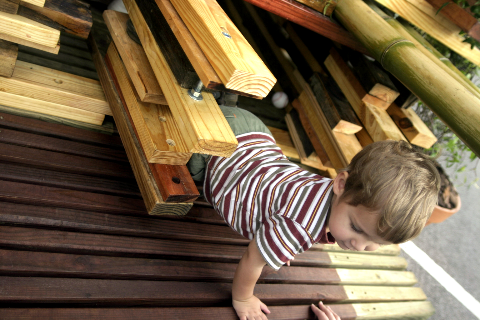 Kid in the green house