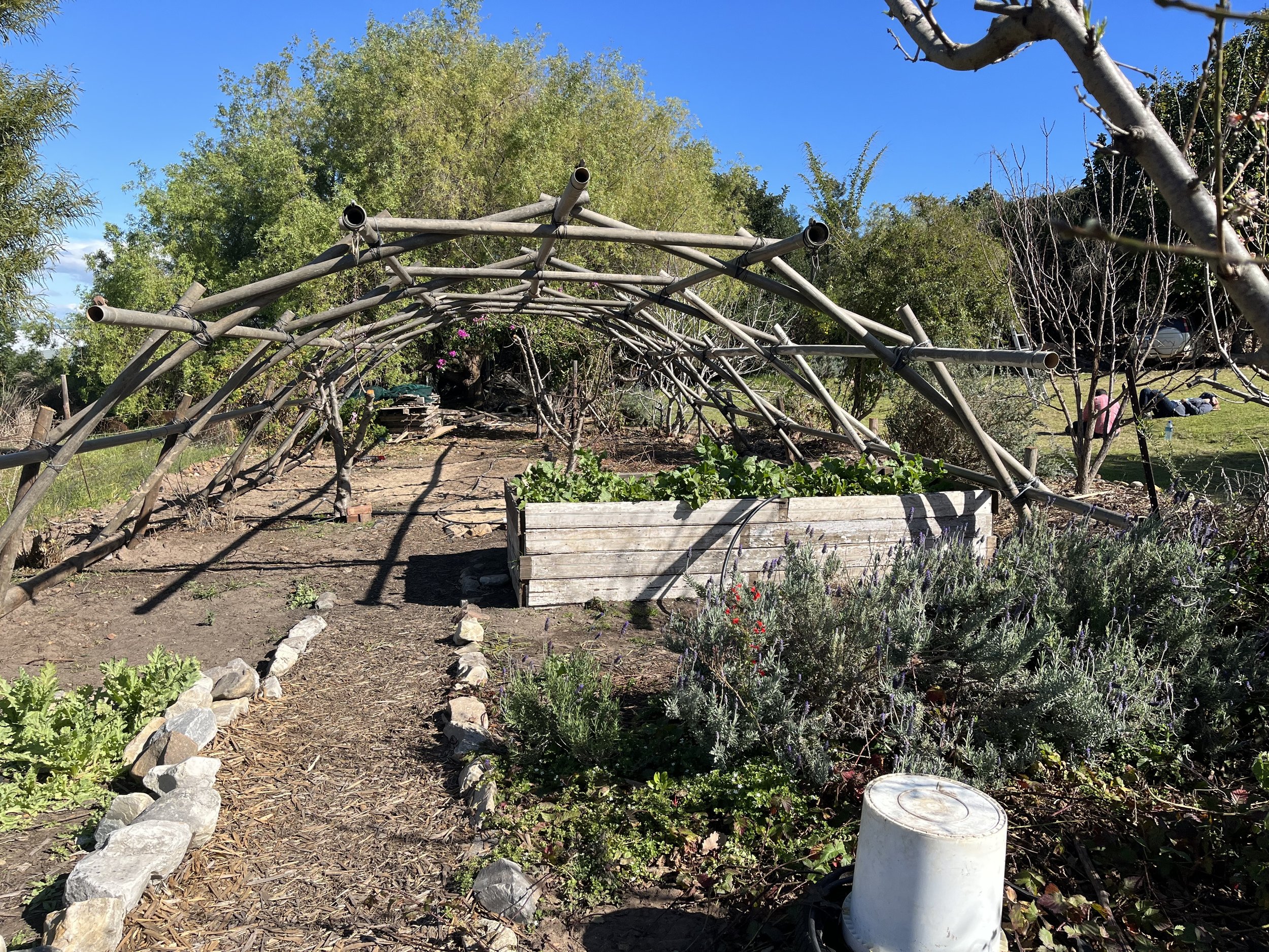 final product photo of the reclaimed greenhouse in garden