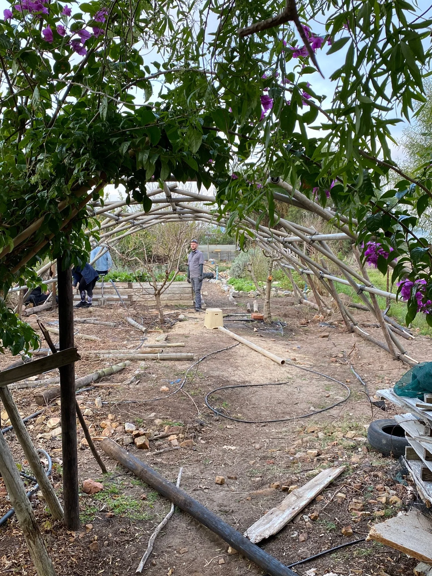 final product photo of the reclaimed greenhouse in garden