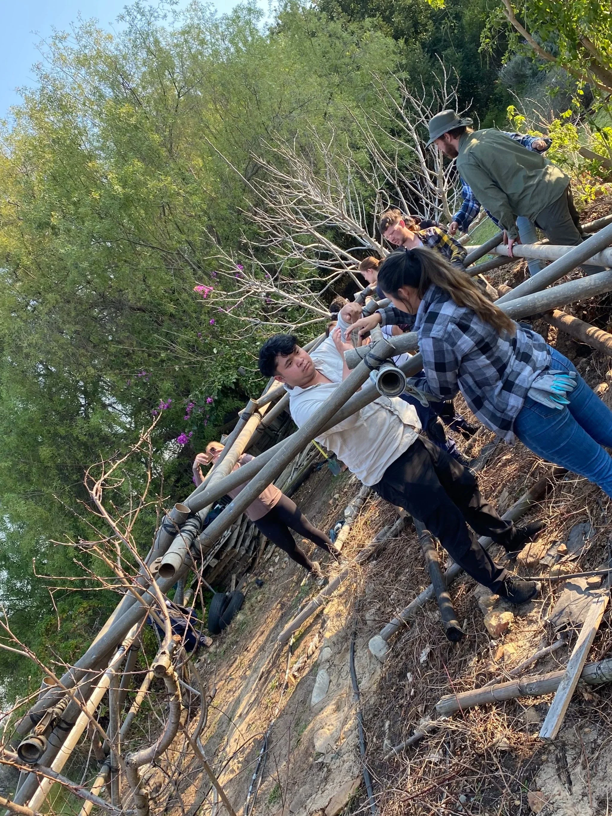 Group of people working on constructing a bamboo fence along a hillside, with trees and shrubs in the background.