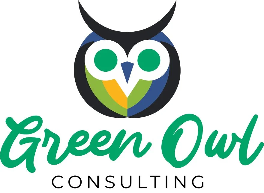Logo with stylized owl face composed of green, yellow, blue, black, and white shapes, and the words "Green Owl" in green script font above "Consulting" in black uppercase letters.