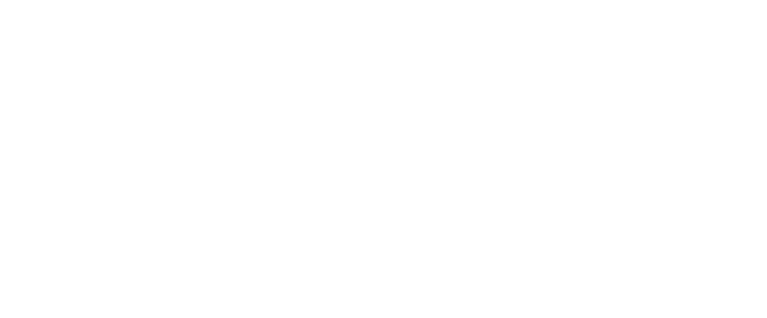 Park &amp; Polish Auto Detailing