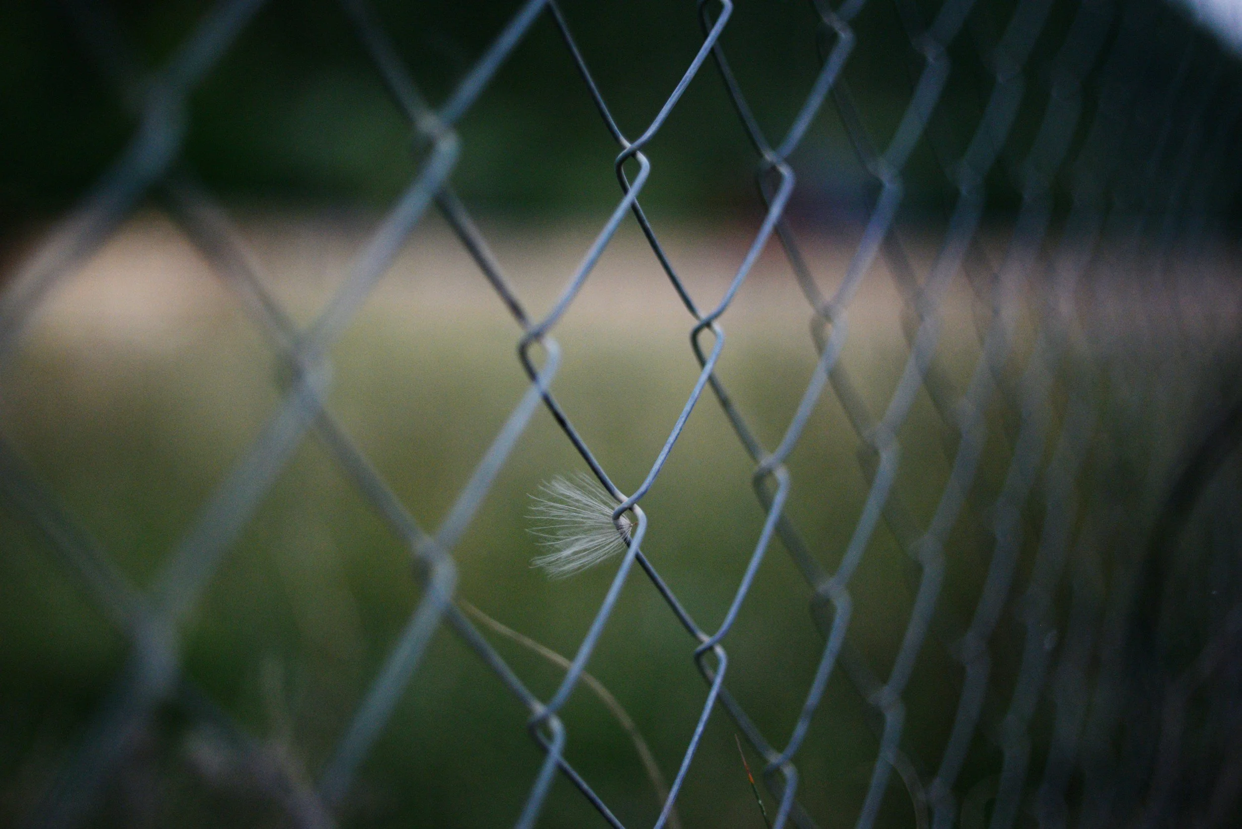 From Burnout to Boundaries: How I Stopped Explaining it Harder and Started Leading Differently