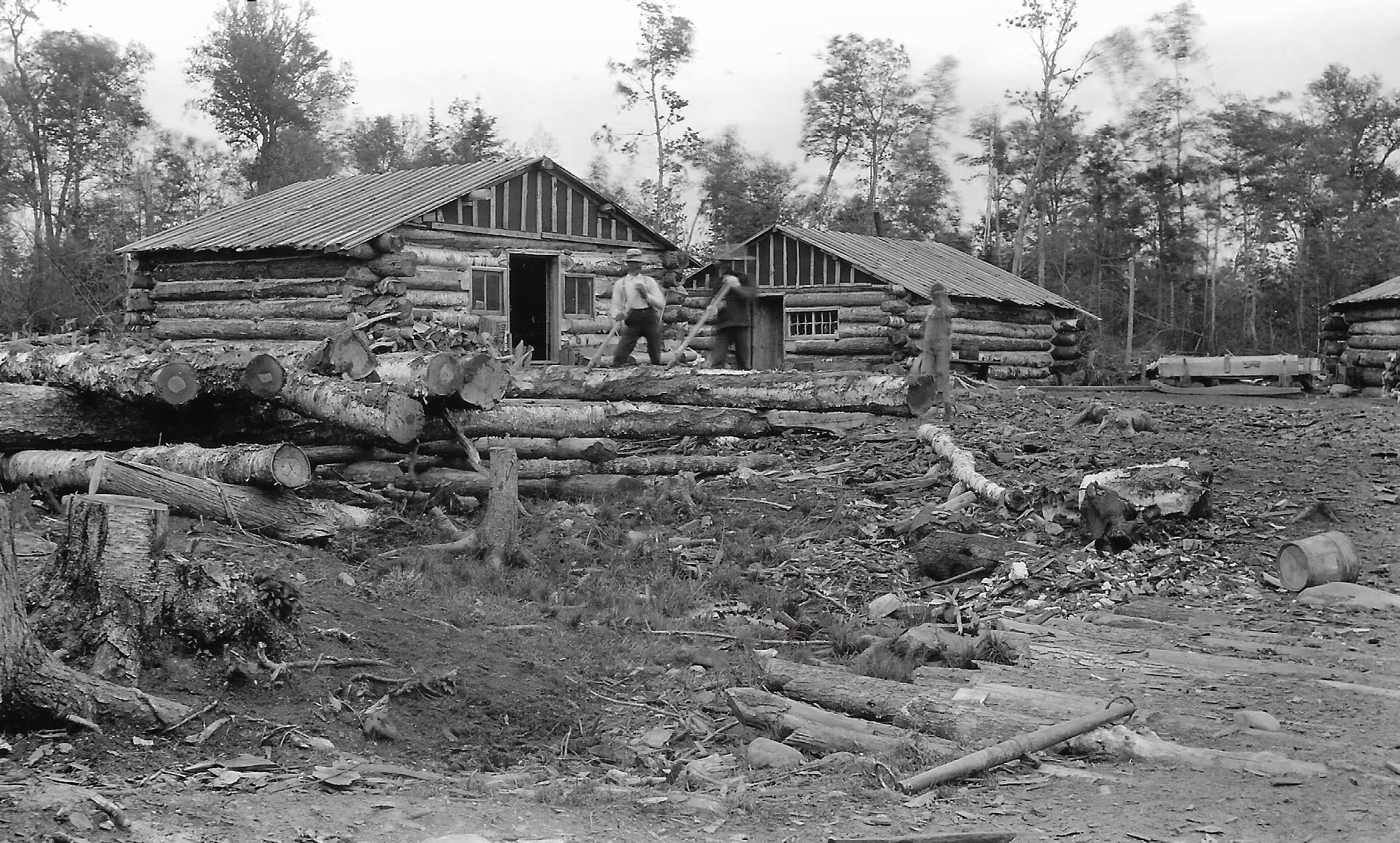 Madeline Island logging camp 1910.
