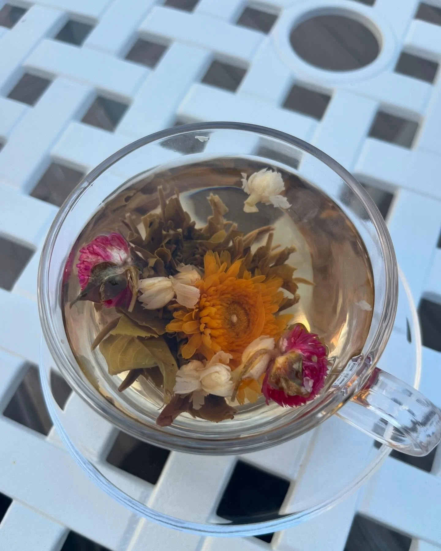We will be serving Blooming teas at Greystone Teahouse! Opening soon!