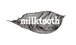 Milktooth Indy logo. A detailed black and white feather with fine barbs and central shaft.