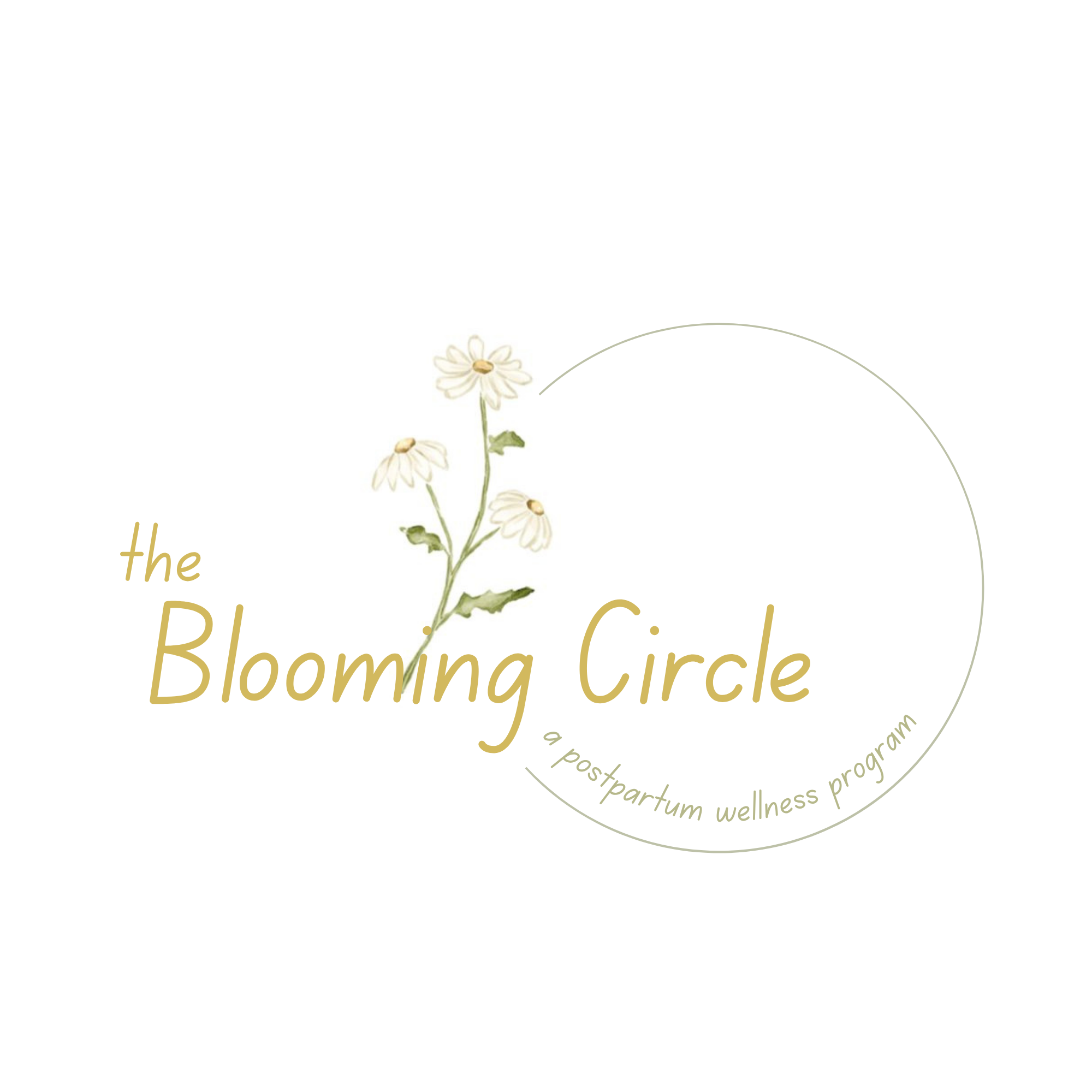 Postpartum Circle (Free)
