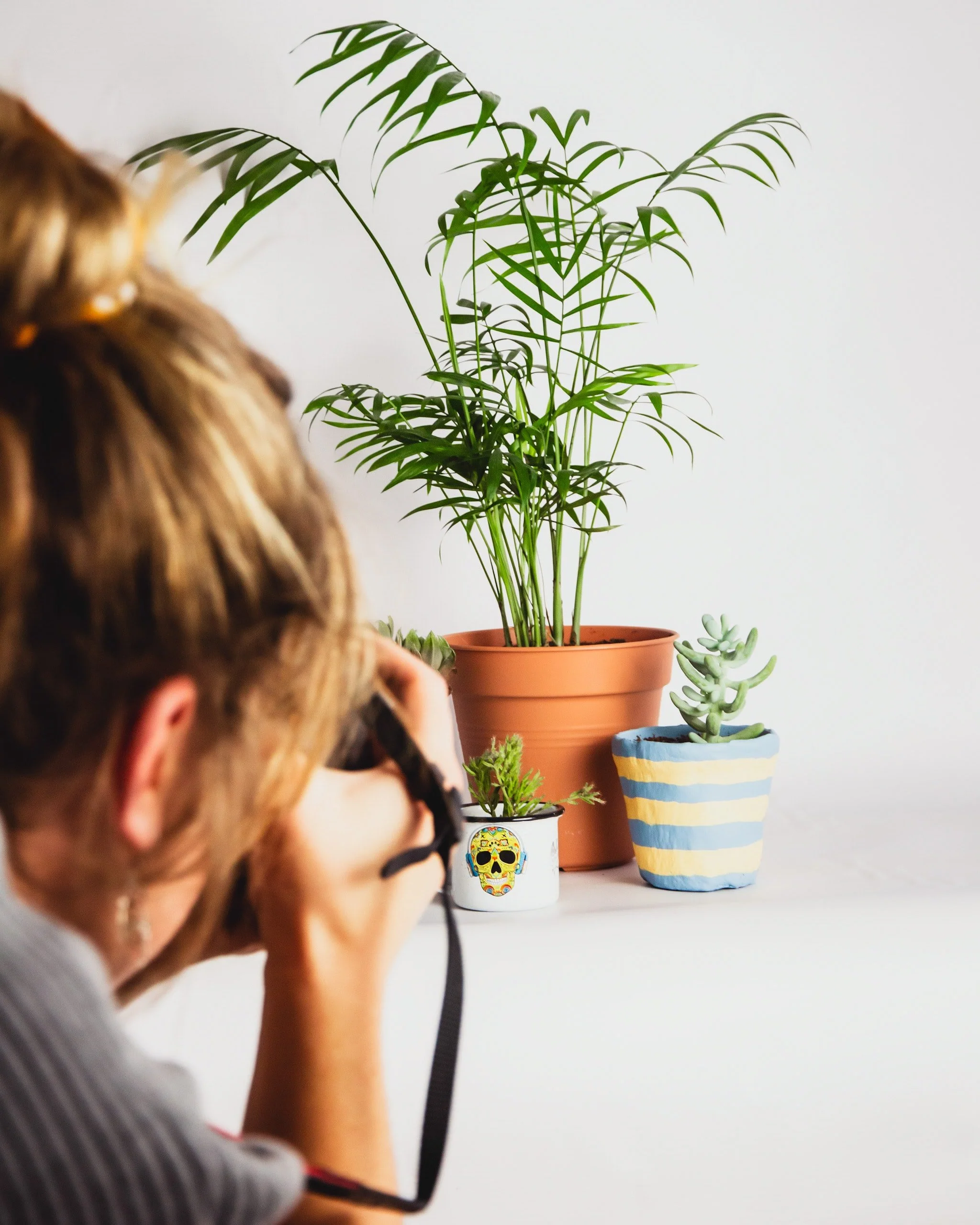 The Best Kept Secret of Content Creation