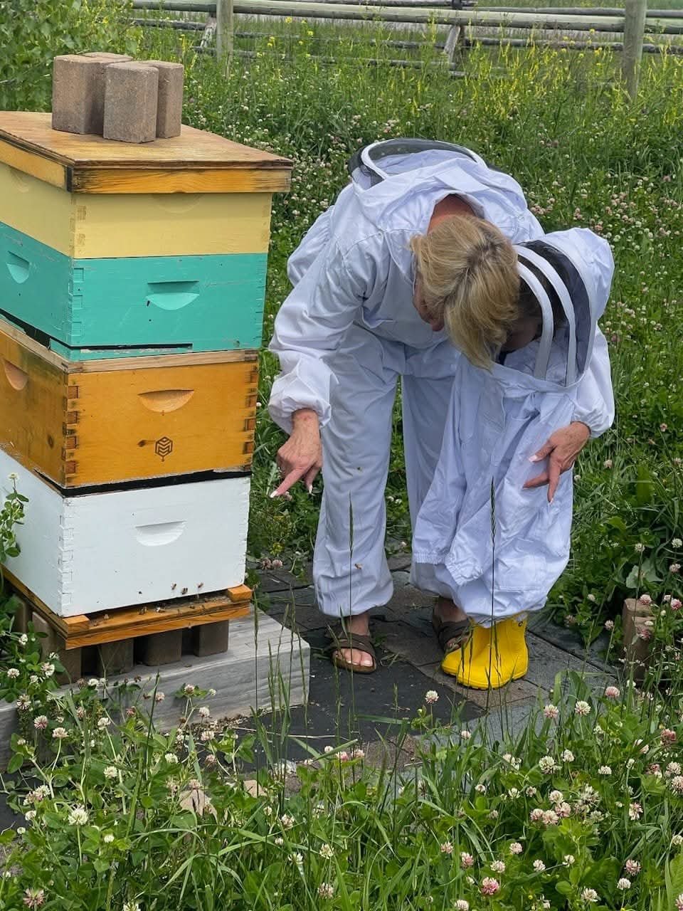 Two people, possibly beekeepers, in white protective suits with black stripes on the shoulders, are examining a beehive in a field of flowers. One person is pointing to the hive, and the other appears to be helping or inspecting. The beehive consists of multiple colorful boxes stacked on a wooden platform, next to some brown bricks on top.
