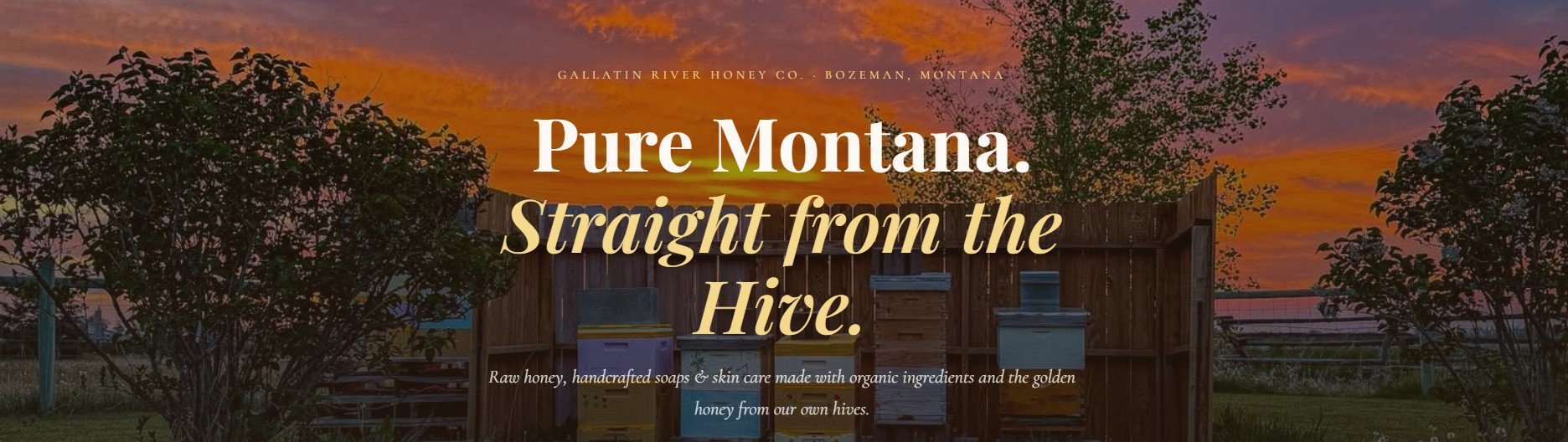A picturesque sunset over a rustic wooden hive surrounded by trees, with text promoting Gallatin River Honey Co. in Bozeman, Montana, emphasizing pure honey straight from the hive.