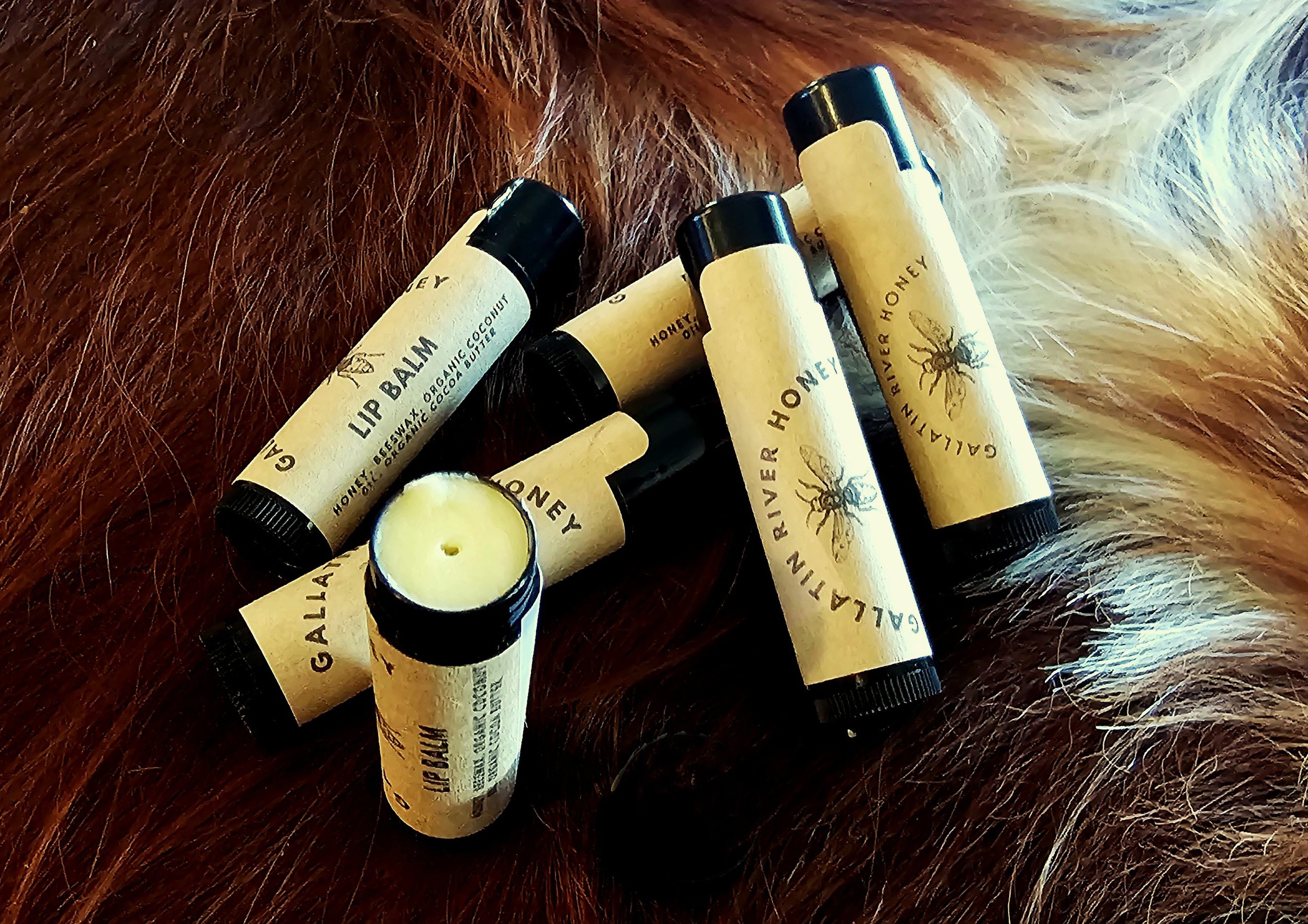 Lip Balm