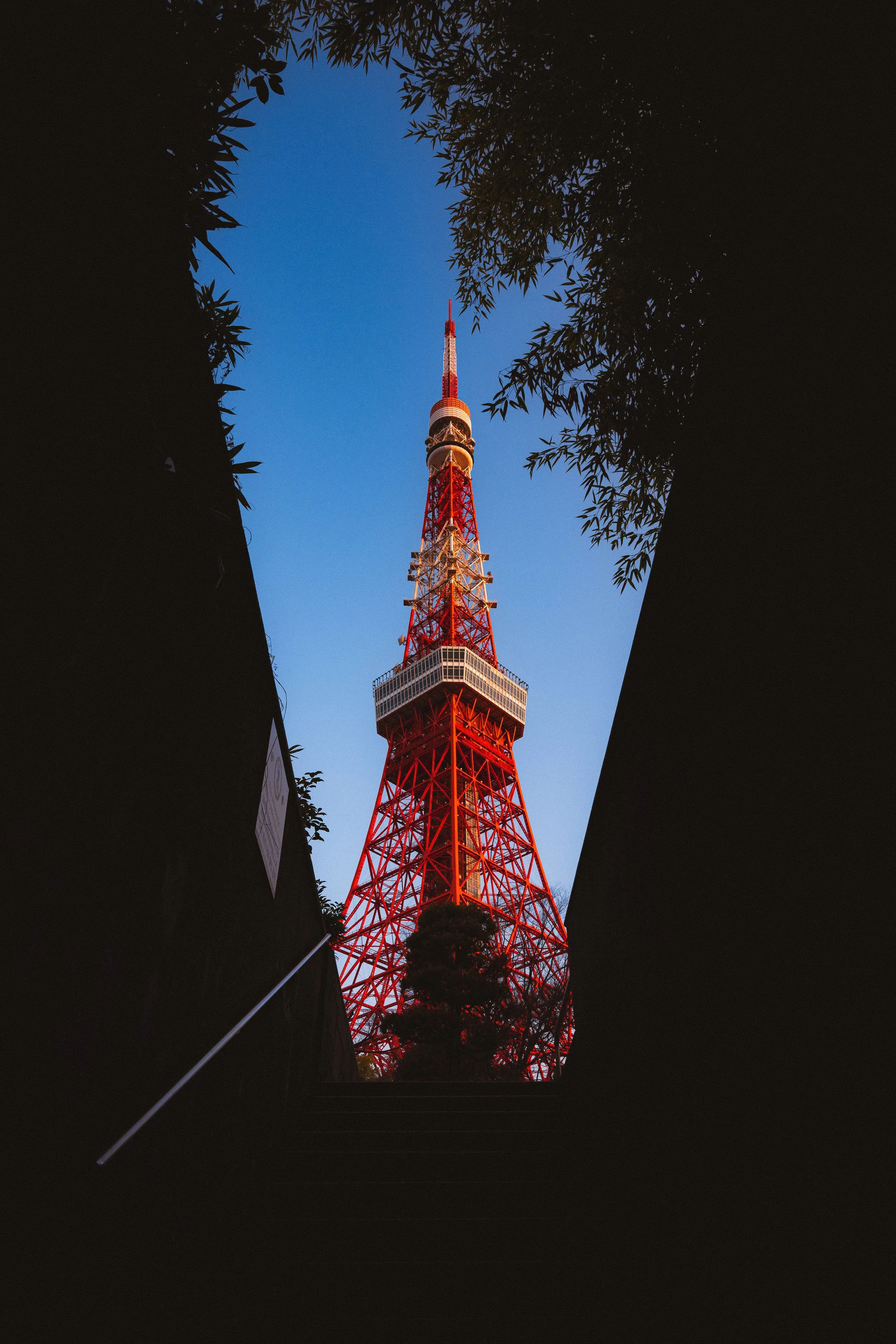 Tokyo Tower seen through a narrow opening with foliage on the sides, illuminated at dusk.