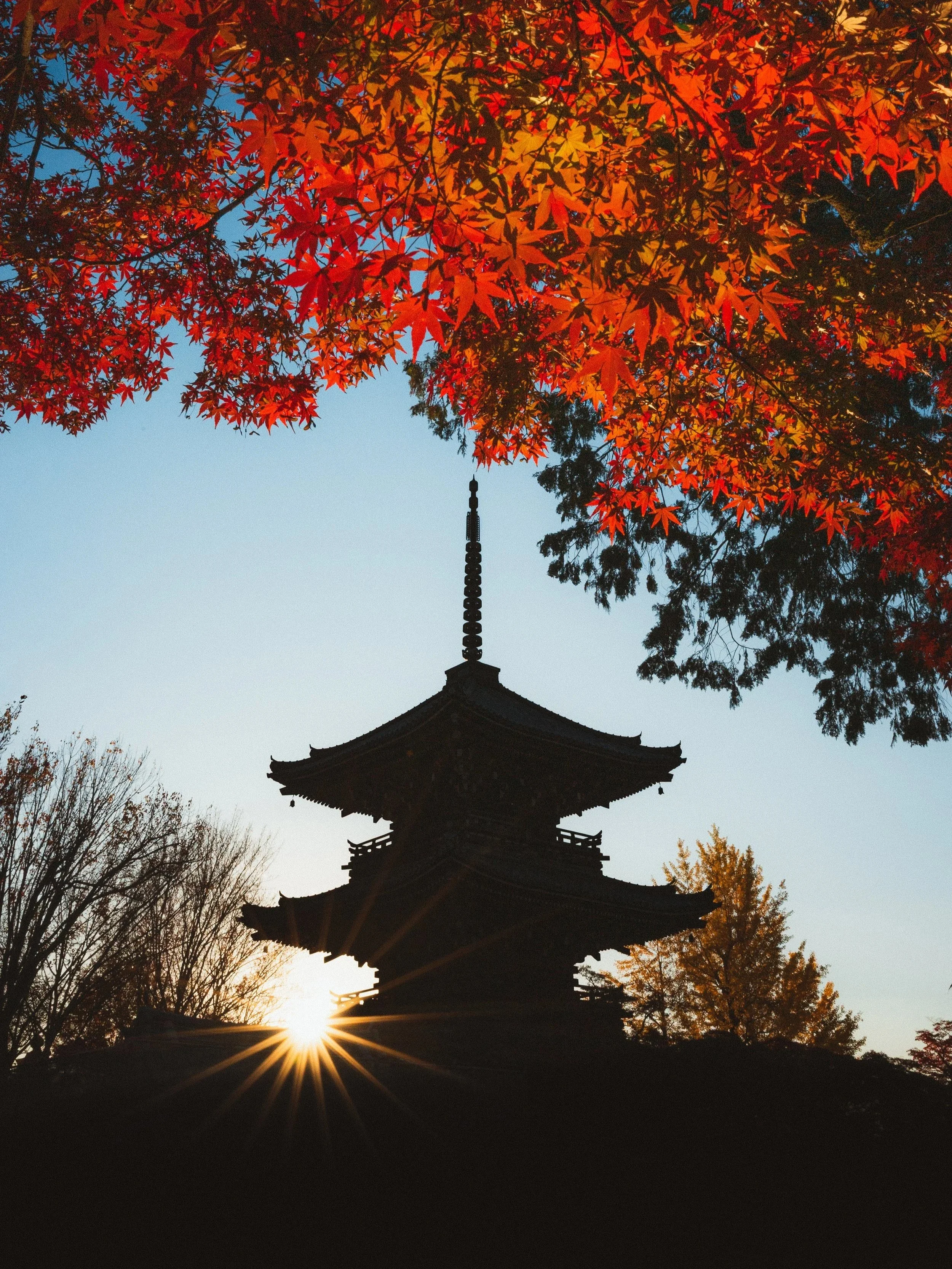 A traditional Japanese pagoda silhouette framed by vibrant red and orange autumn leaves, with the sun setting behind the structure and trees, creating a serene and picturesque scene.