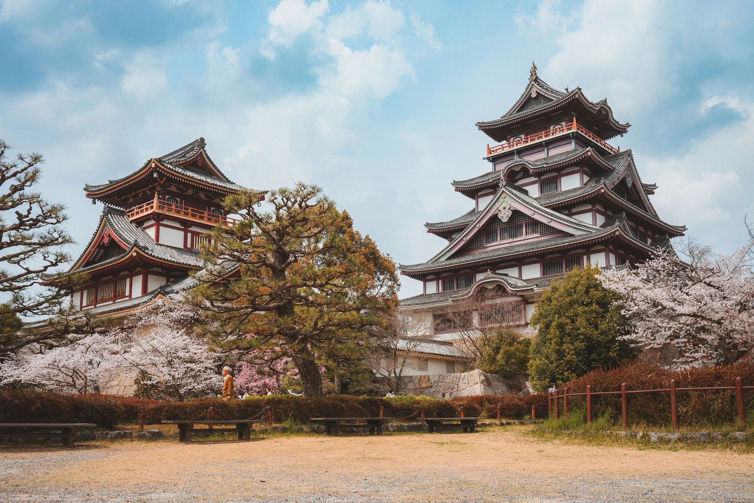 Traditional Japanese castle with multiple tiers and curved roofs, surrounded by cherry blossom trees in full bloom, under a partly cloudy sky.